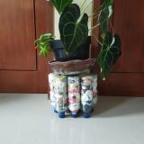 Plant holder in Ubud, Gianyar, Bali, Lesser Sunda Islands, 80571, Indonesia has sequestered 3 kg of plastic using 12 ecobricks